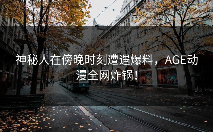神秘人在傍晚时刻遭遇爆料，AGE动漫全网炸锅！