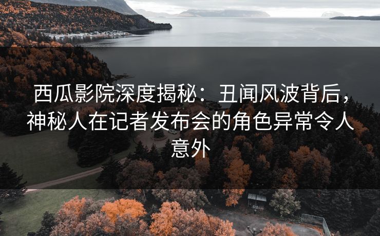 西瓜影院深度揭秘：丑闻风波背后，神秘人在记者发布会的角色异常令人意外
