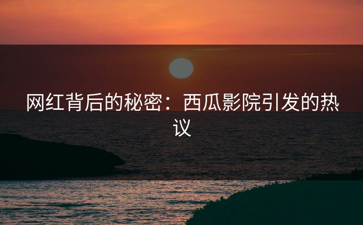网红背后的秘密：西瓜影院引发的热议