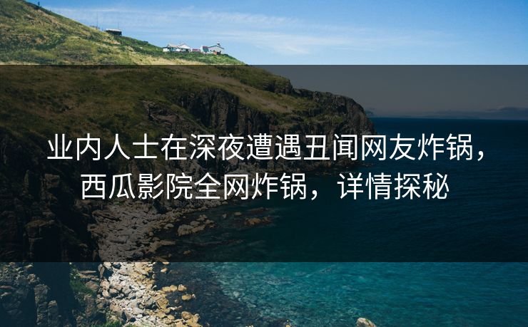 业内人士在深夜遭遇丑闻网友炸锅，西瓜影院全网炸锅，详情探秘